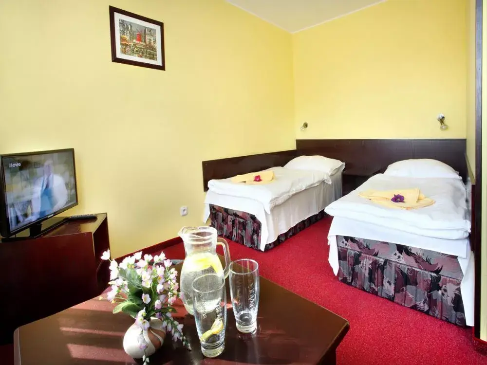 Photo 5 of Hotel Milan Vopička 